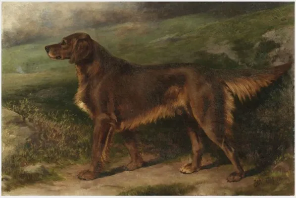 Garryowen (1876-1887), Champion Irish Red Setter, by William Osborne, oil, 1890