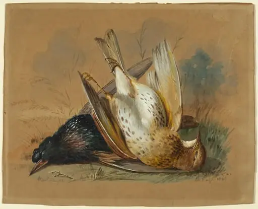 A Starling and a Lark, by William Page
