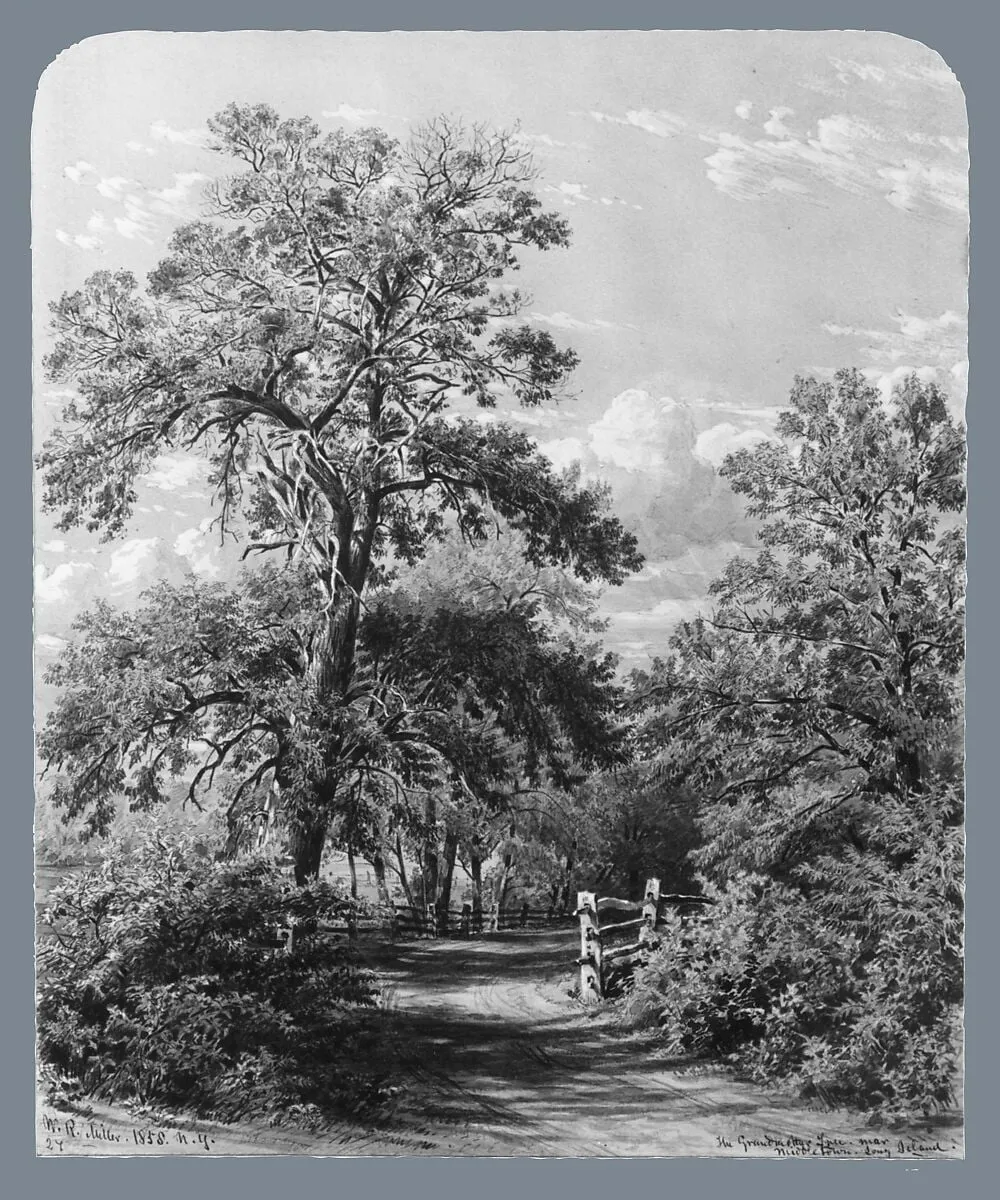 The Grandmother Tree, near Middletown, Long Island, by William Rickarby Miller, watercolor, 1858