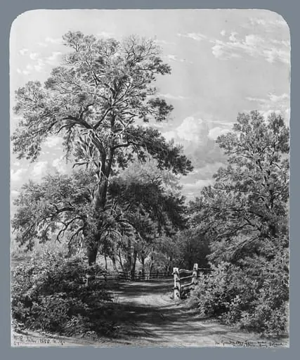The Grandmother Tree, near Middletown, Long Island, by William Rickarby Miller