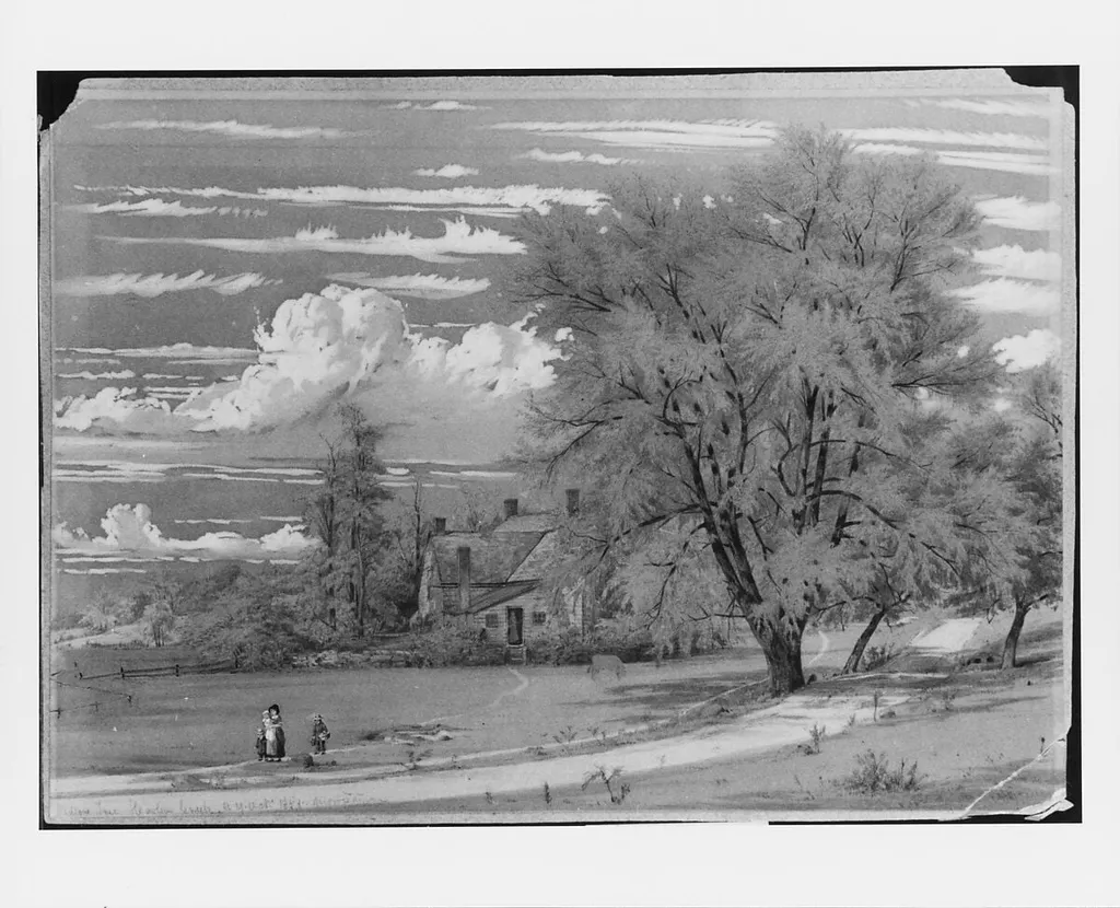 Willow Tree, Harlem Creek, New York, by William Rickarby Miller, watercolor, 1853