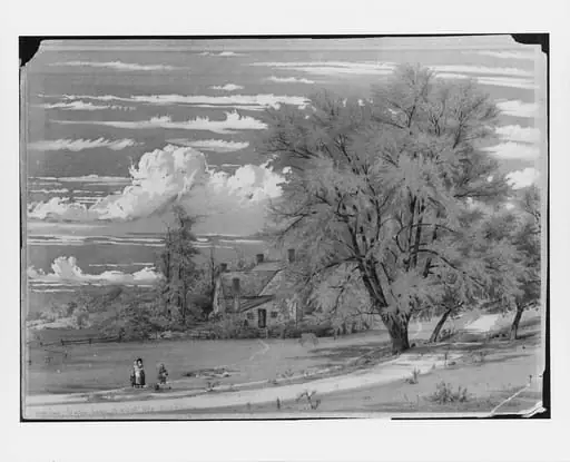 Willow Tree, Harlem Creek, New York, by William Rickarby Miller