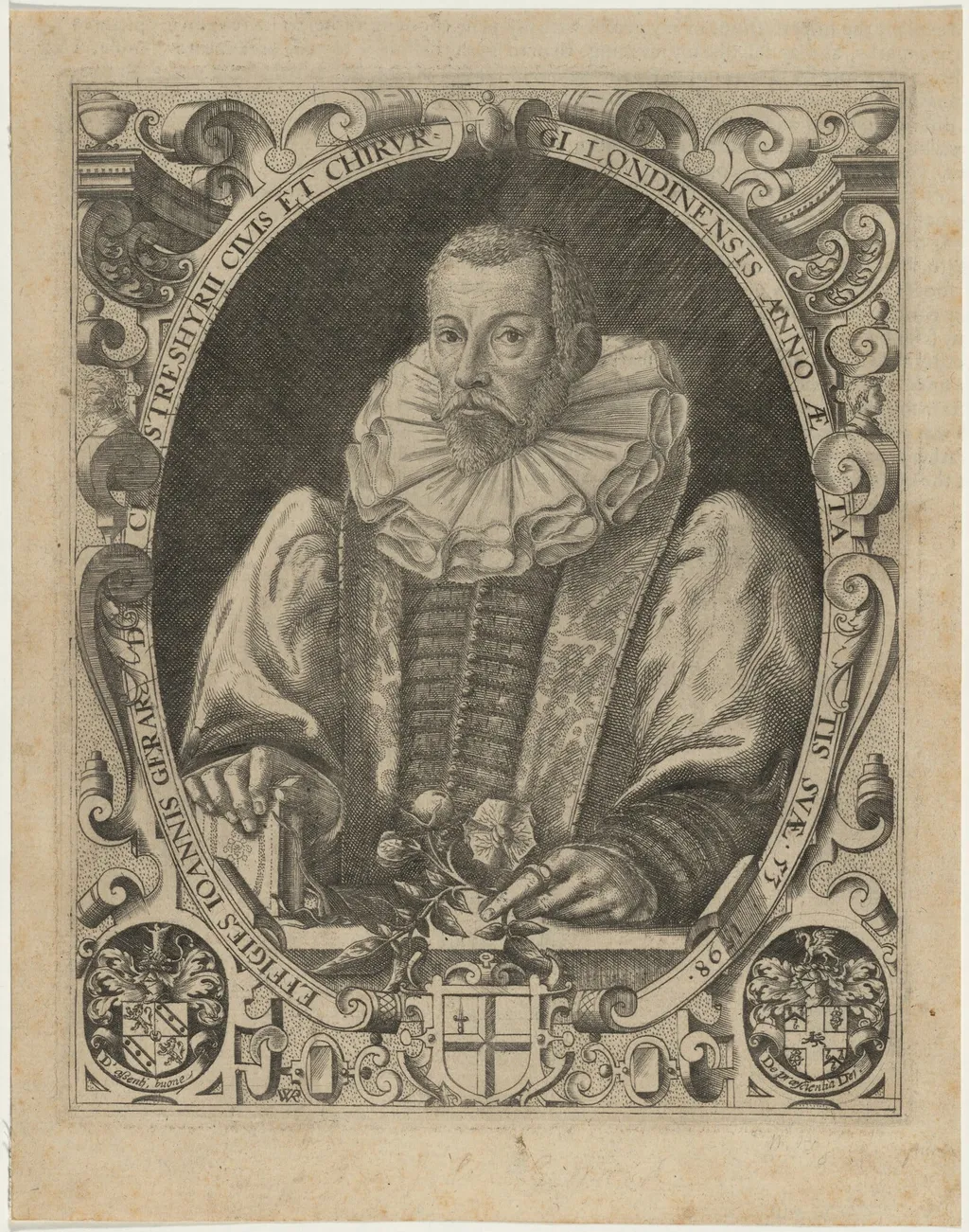 John Gerard, Herbalist, by William Rogers, ink, 1597