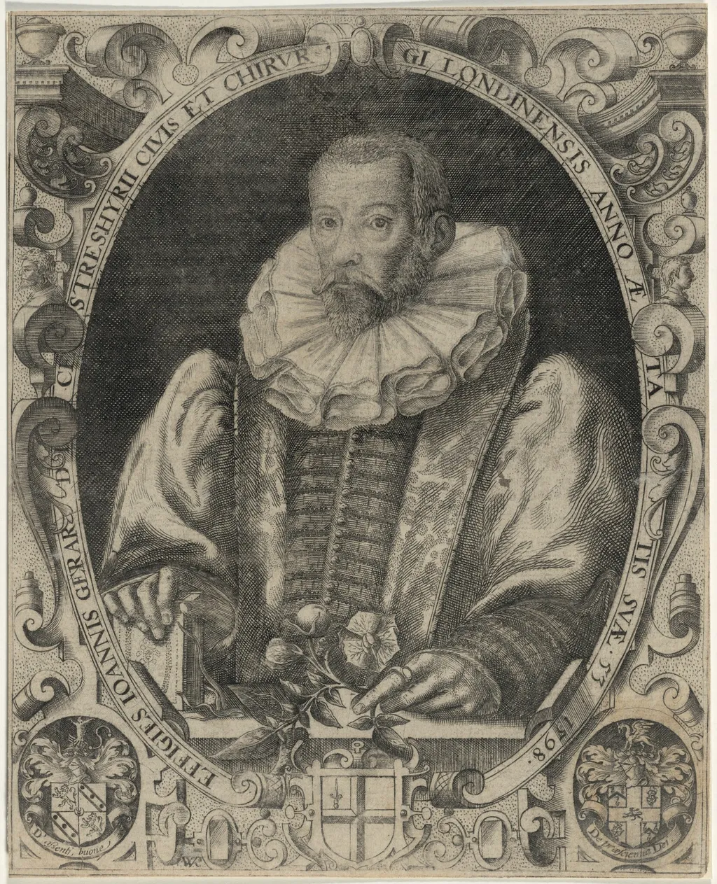 John Gerard, Herbalist, by William Rogers, ink, 1597