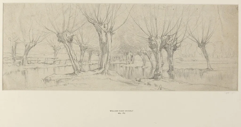 Study of Trees, by William Roxby Beverley, 1850