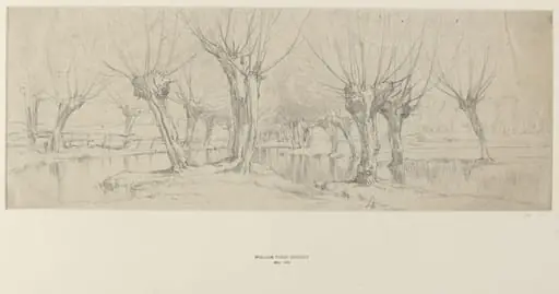 Study of Trees, by William Roxby Beverley
