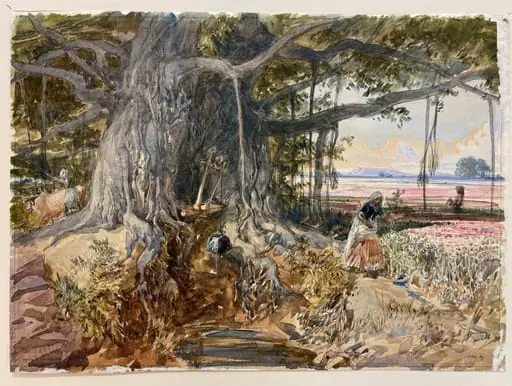 Opium cultivation scene, Malwa, by William Simpson