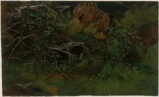 Study from Nature, by William Stanley Haseltine