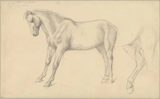 Studies of a Pony, by William Strutt