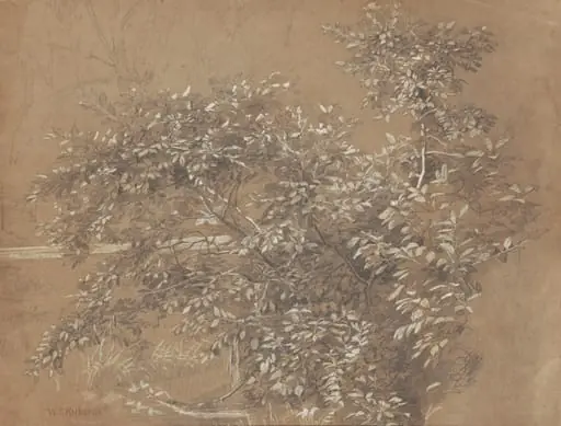 Foliage, by William Trost Richards