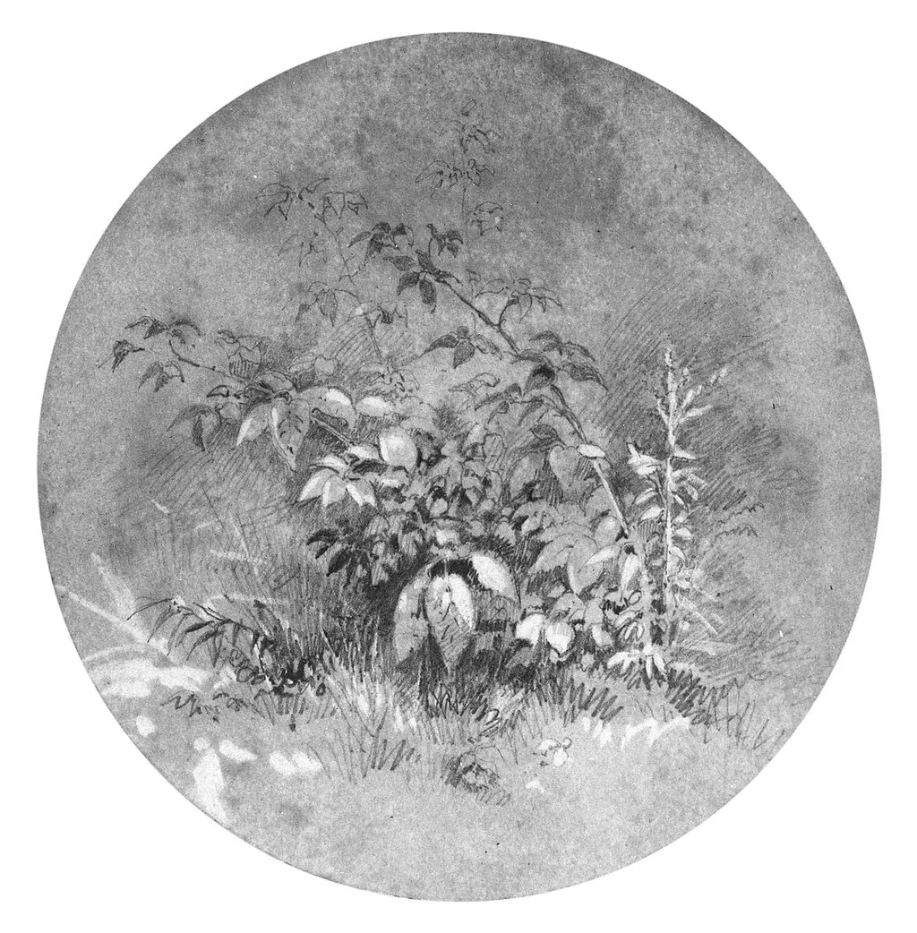 Study of Ground Foliage (from Cropsey Album), by William Trost Richards, gouache, 1869
