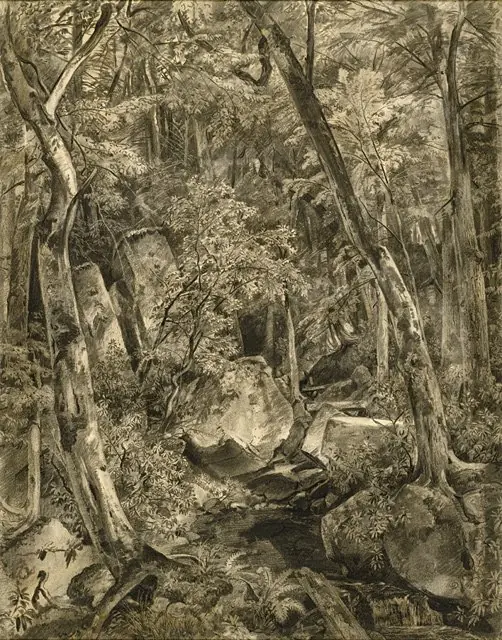 Woodland Interior, by William Trost Richards