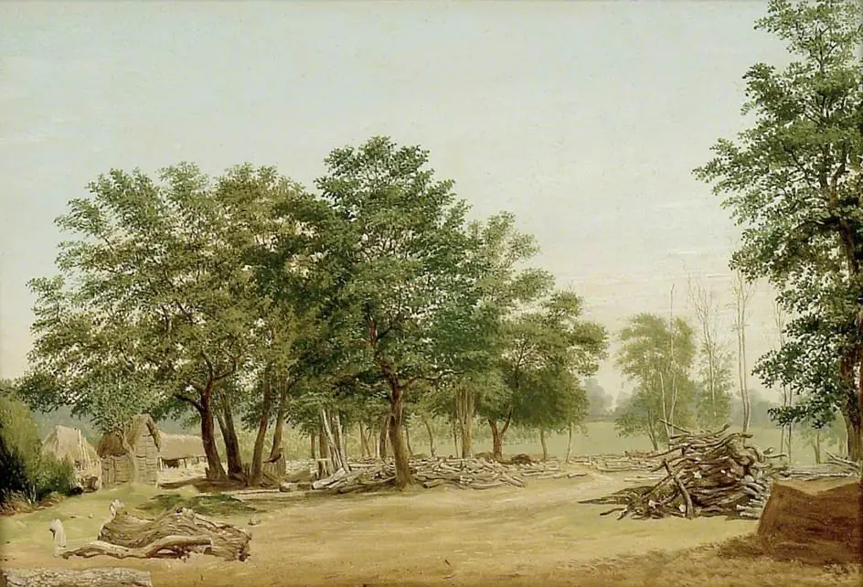 View in Bagley Wood, near Oxford, by William Turner