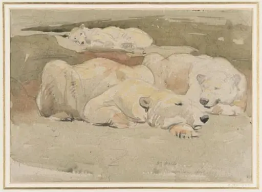 Polar Bears asleep, by William Walls
