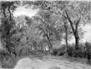 Winding Lane in a Wood