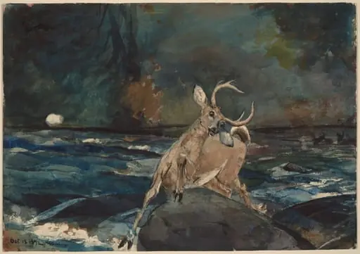 A Good Shot, Adirondacks, by Winslow Homer