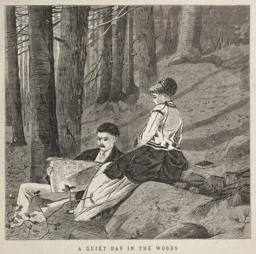 A Quiet Day in the Woods, by Winslow Homer