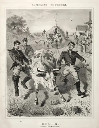 Campaign Sketches:  Foraging, by Winslow Homer