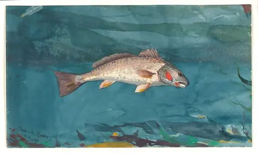 Channel Bass