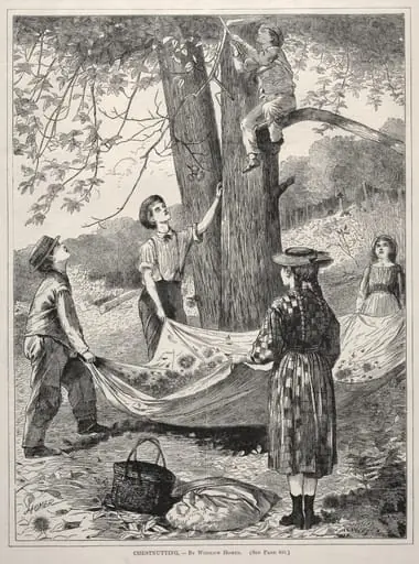 Chestnutting, by Winslow Homer
