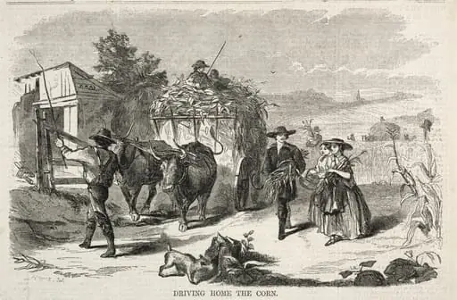 Driving Home the Corn, by Winslow Homer