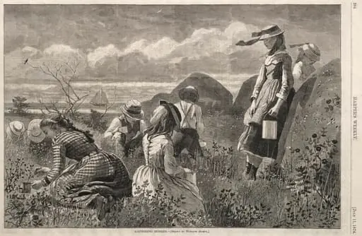 Gathering Berries, by Winslow Homer