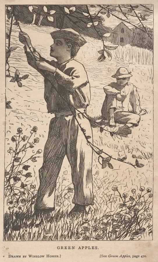 Green Apples, by Winslow Homer, 1868