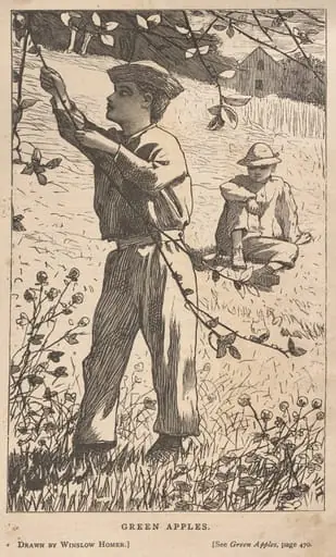 Green Apples, by Winslow Homer
