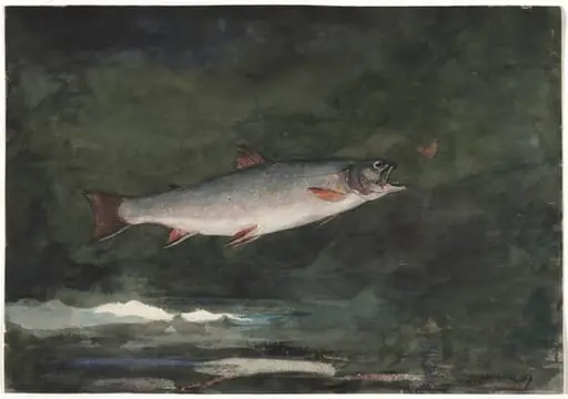 Leaping Trout, by Winslow Homer