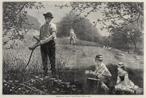 Making Hay, by Winslow Homer