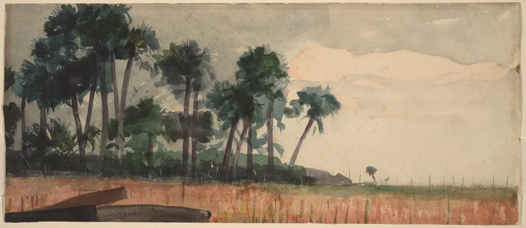 Palm Trees, Red, by Winslow Homer, graphite, 1890