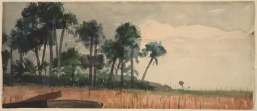 Palm Trees, Red, by Winslow Homer