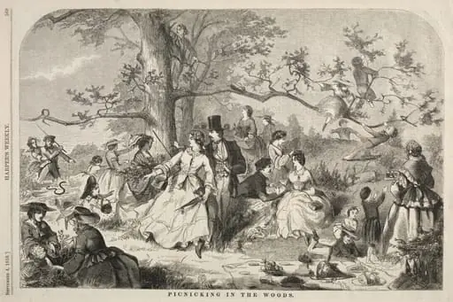 Picknicking in the Woods, by Winslow Homer