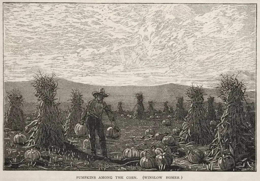 Pumpkins Among the Corn, by Winslow Homer, 1878