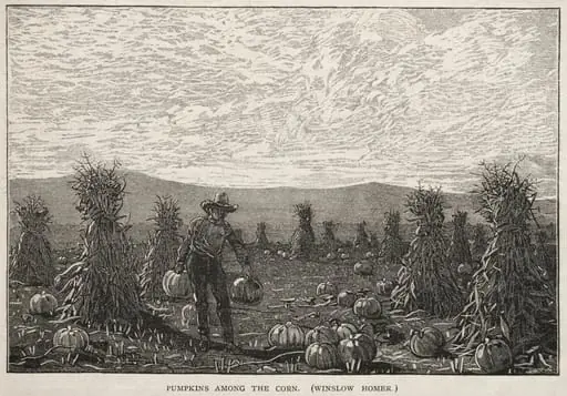 Pumpkins Among the Corn, by Winslow Homer