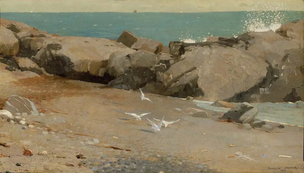 Rocky Coast and Gulls, by Winslow Homer