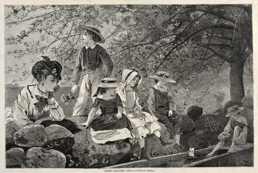 Spring Blossoms, by Winslow Homer