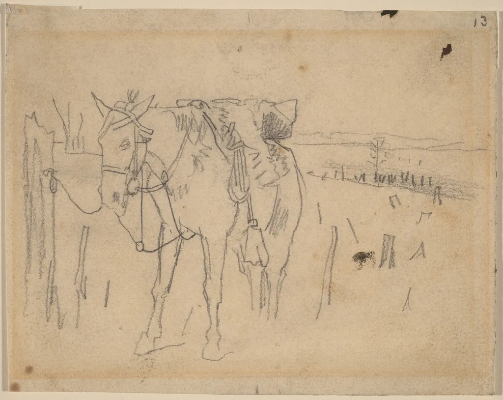 Tethered, by Winslow Homer, graphite, 1864