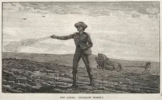 The Sower, by Winslow Homer, 1878