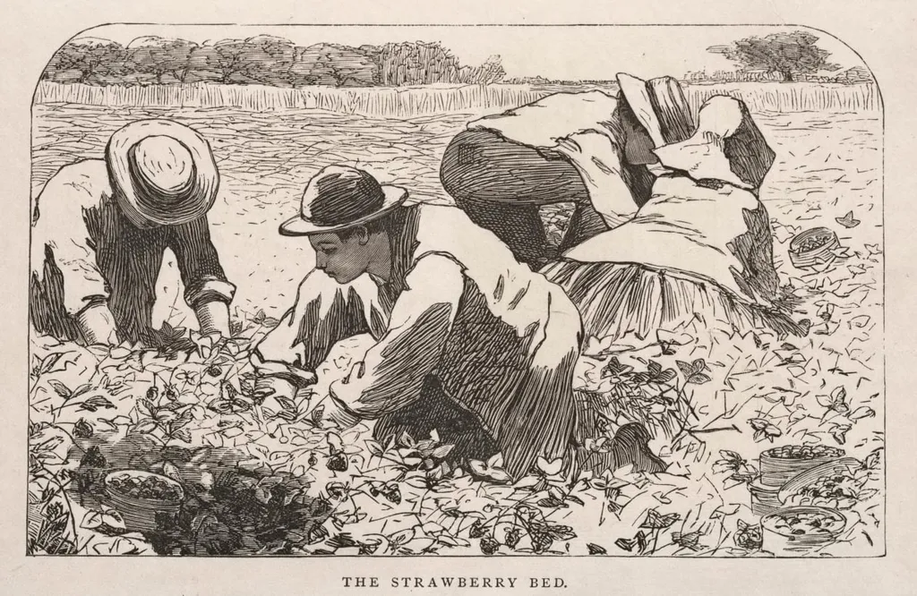 The Strawberry Bed, by Winslow Homer, 1868