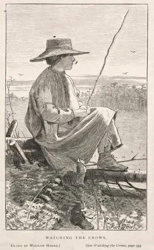 Watching the Crows, by Winslow Homer