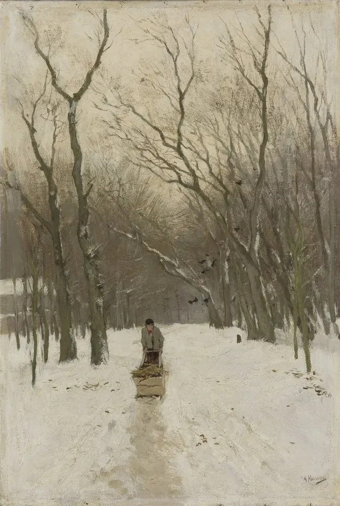 Winter in the Scheveningse bosjes.