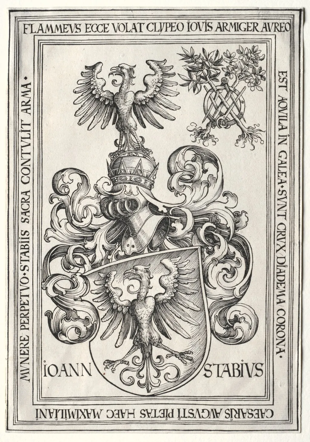 Coat of Arms of Johann Stabius, by Wolf Traut, 1500