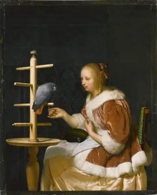 Woman feeding a Parrot