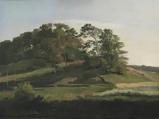 Wooded Hills at Sørupvang