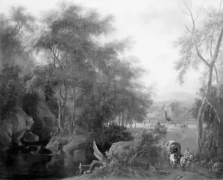 Wooded Landscape