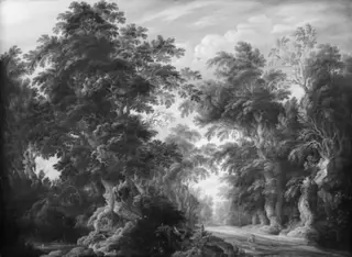 Wooded Landscape