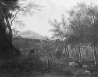 Wooded Landscape