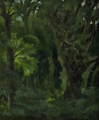 Wooded Landscape. "The Nordic Forest"