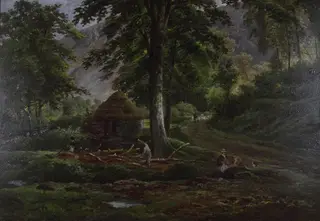 Woodland scene